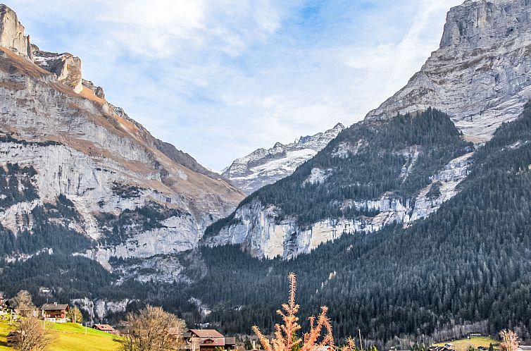 Appartement Chalet Perle