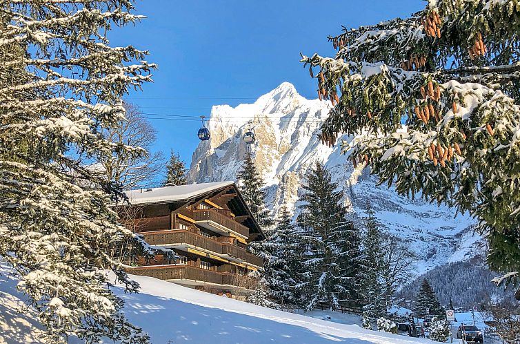 Appartement Chalet Bodmisunne