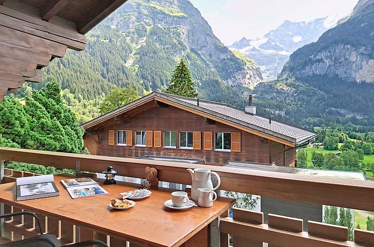 Appartement Chalet Almis 5