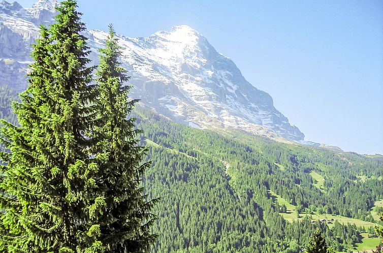 Appartement Chalet Almis 5