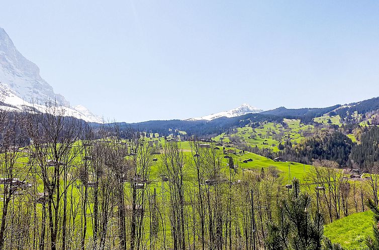 Appartement Chalet Eiger