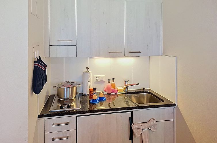Appartement Chalet Schwendihus