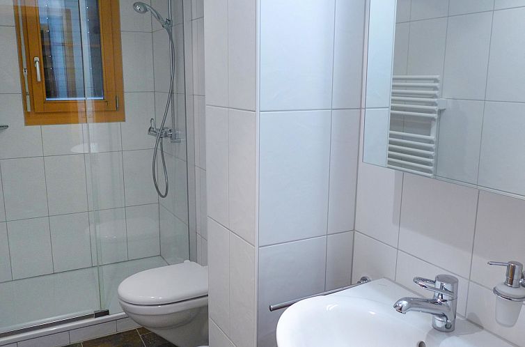 Appartement Chalet Pfingsteggblick