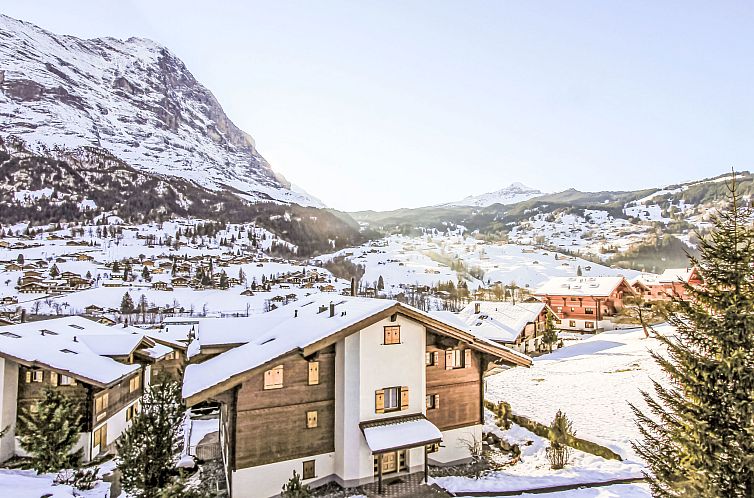 Appartement Chalet Cortina