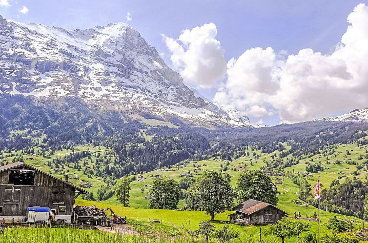 Appartement Chalet Jolimont