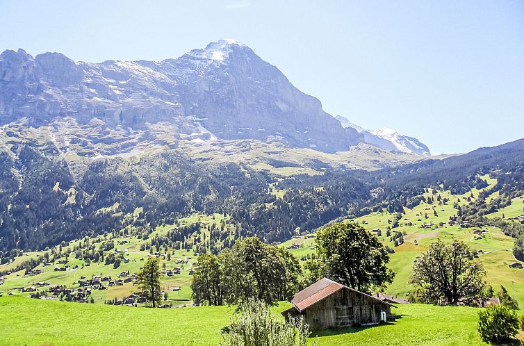 Appartement ufem Stutz