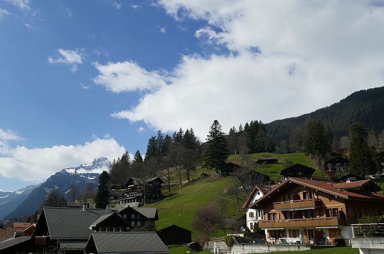 Appartement Résidence Sans Souci