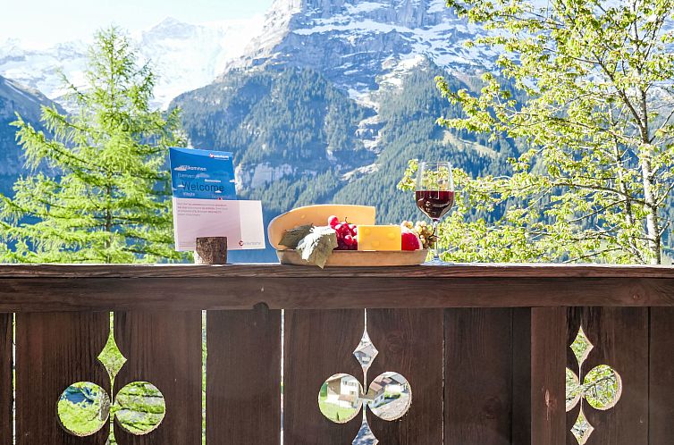 Appartement Chalet Colette