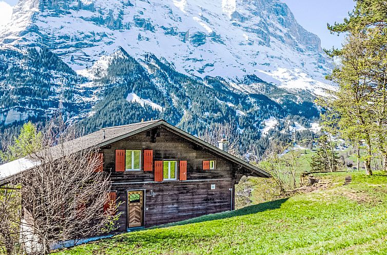 Appartement Chalet Colette