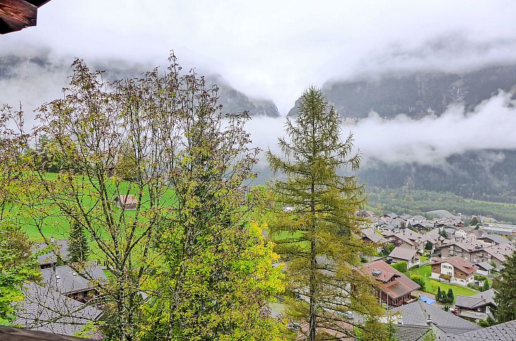 Appartement Chalet Colette