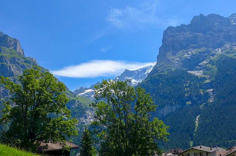 Appartement Chalet Albi