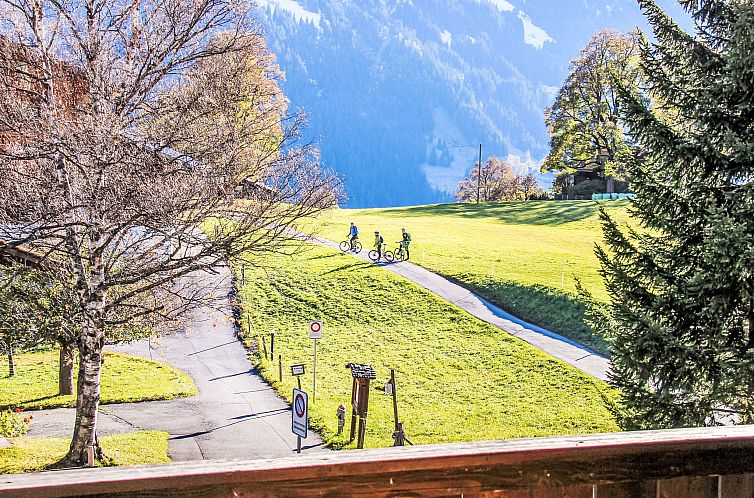 Appartement Chalet Bodmisunne