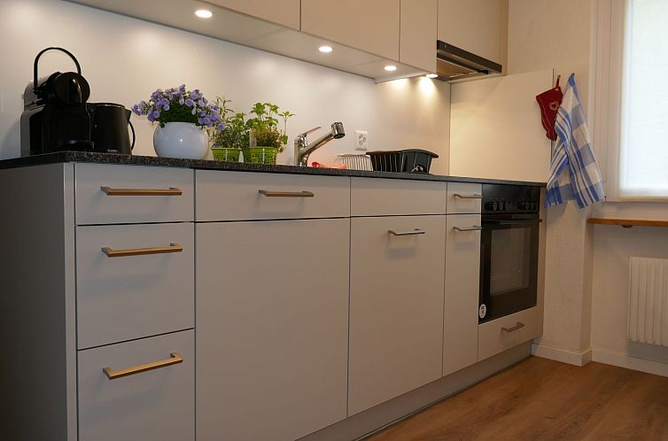 Appartement Chalet Bodmisunne