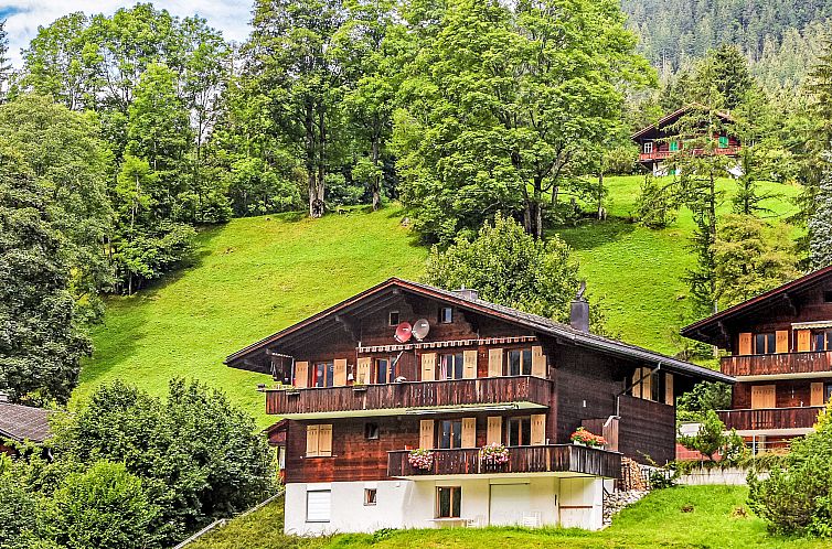 Appartement Chalet Blaugletscher