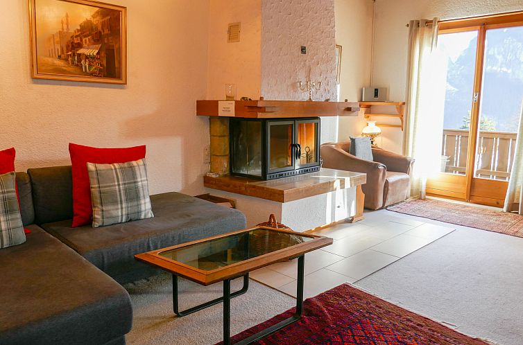 Appartement Chalet Blaugletscher