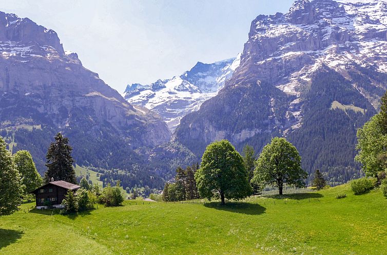 Appartement Chalet Blaugletscher