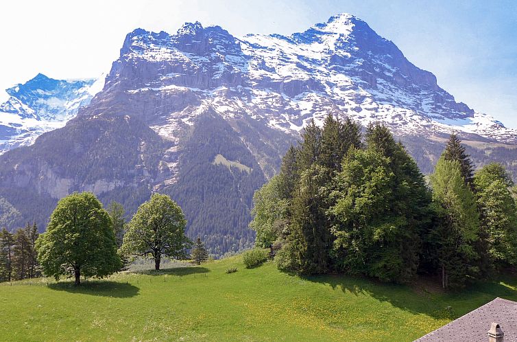 Appartement Chalet Blaugletscher
