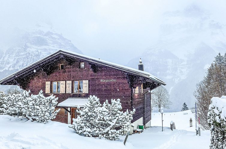 Appartement Chalet Blaugletscher