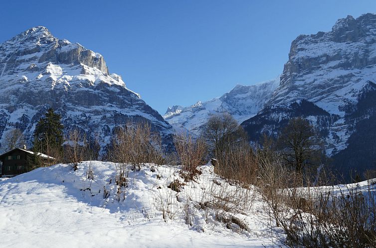 Appartement Chalet Blaugletscher