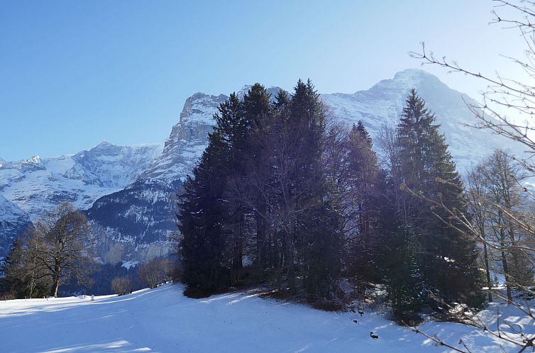 Appartement Chalet Blaugletscher