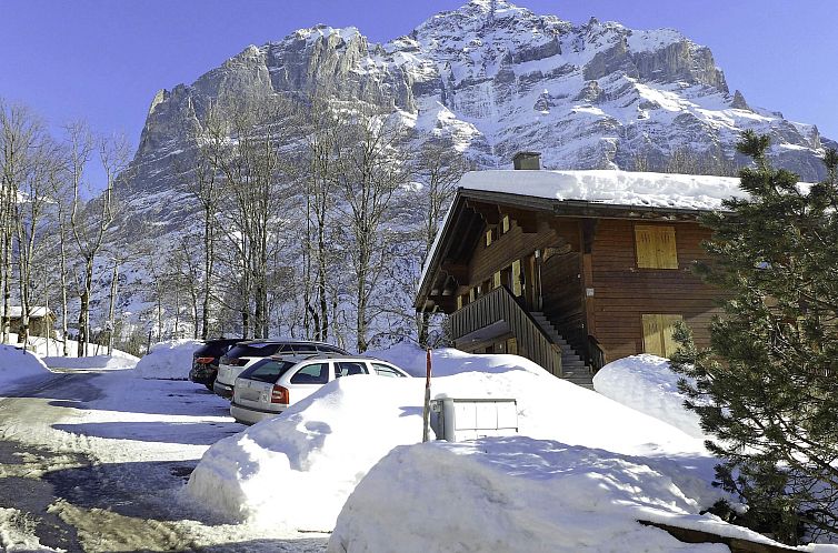 Appartement Chalet Sunneblick