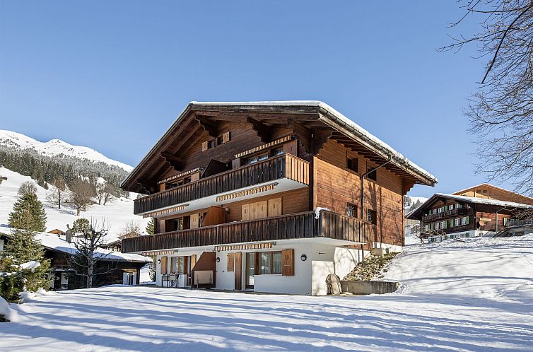 Appartement Chalet Sunneblick