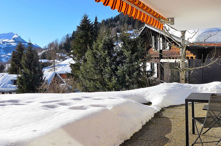 Appartement Chalet Sunneblick