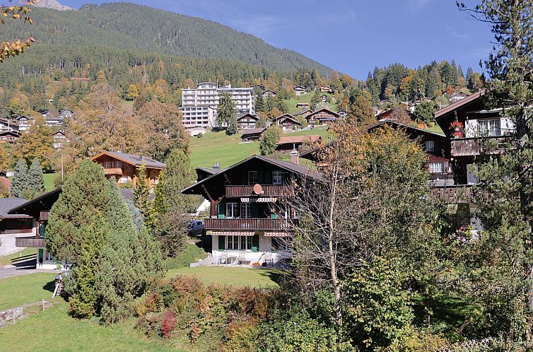 Unterkunft 1802872 - Appartement Berner Oberland - Appartement Chalet Spassvogel