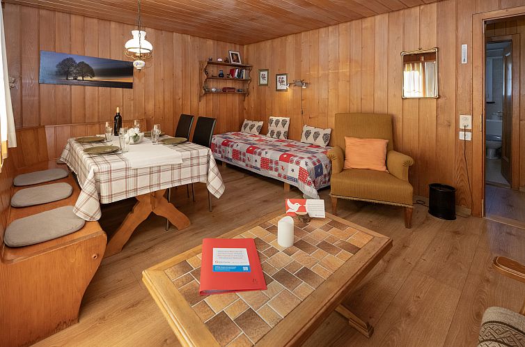 Appartement Chalet Spassvogel