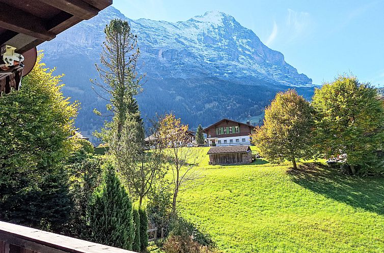 Appartement Chalet Spassvogel