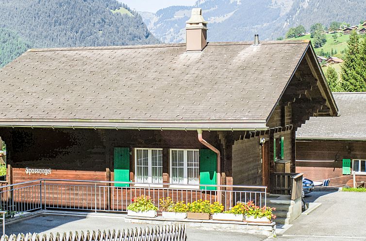 Appartement Chalet Spassvogel