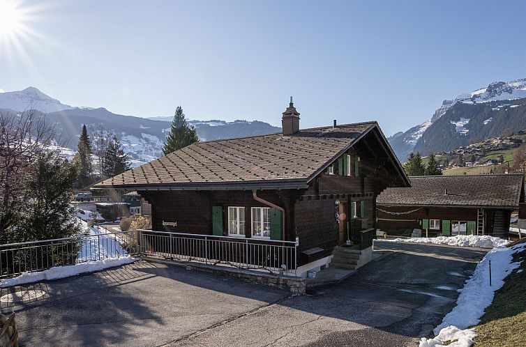 Appartement Chalet Spassvogel