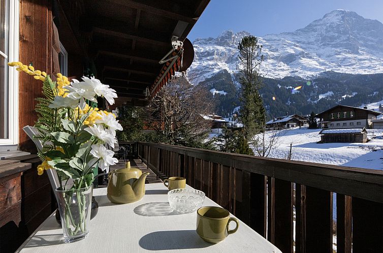 Appartement Chalet Spassvogel