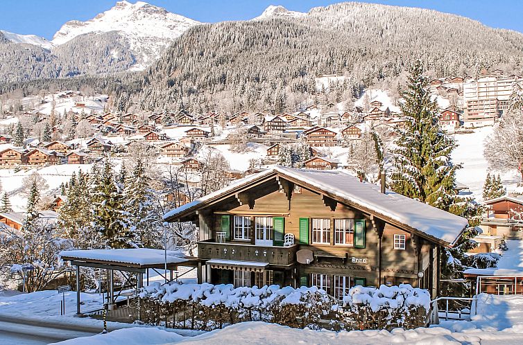 Appartement Chalet Anna
