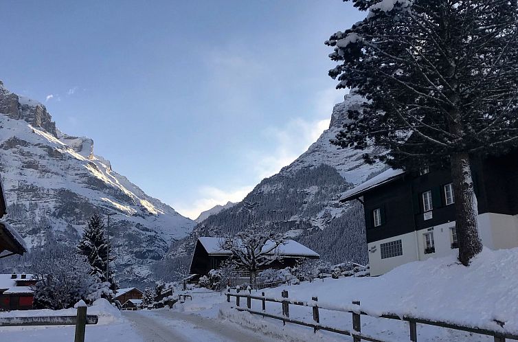 Appartement Chalet Anna