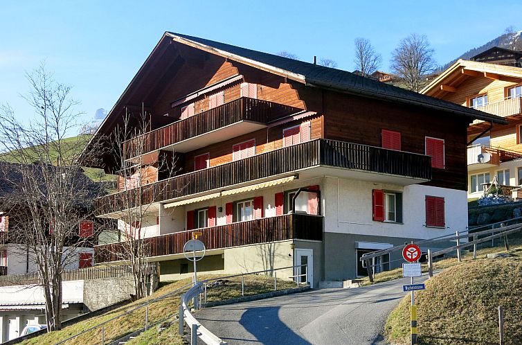 Guest house 1802874 - Apartment Berner Oberland - Appartement Chalet Desirée
