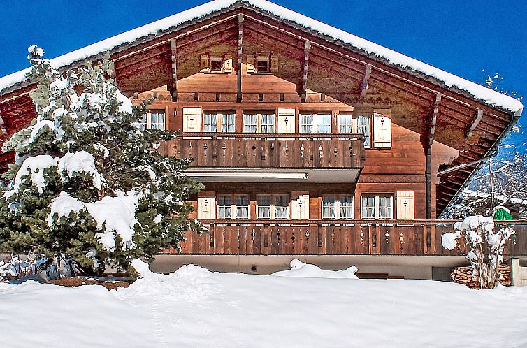 Appartement Chalet Doris