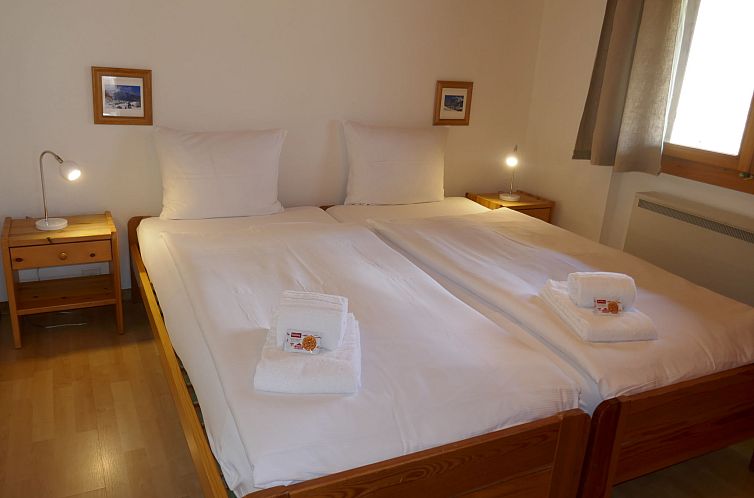 Appartement Chalet Grindelwaldgletscher