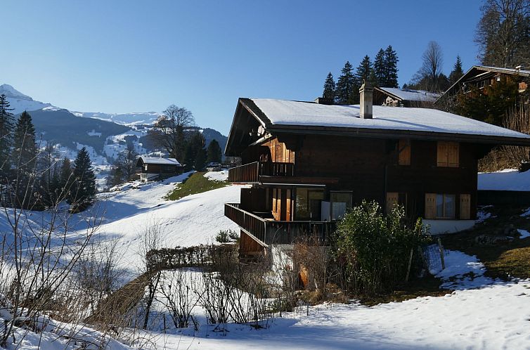 Appartement Chalet Grindelwaldgletscher