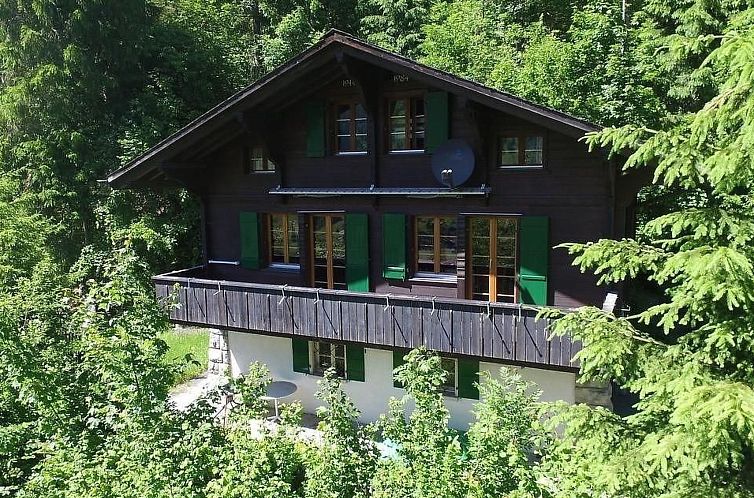 Vakantiehuis Chalet Tannegüetli