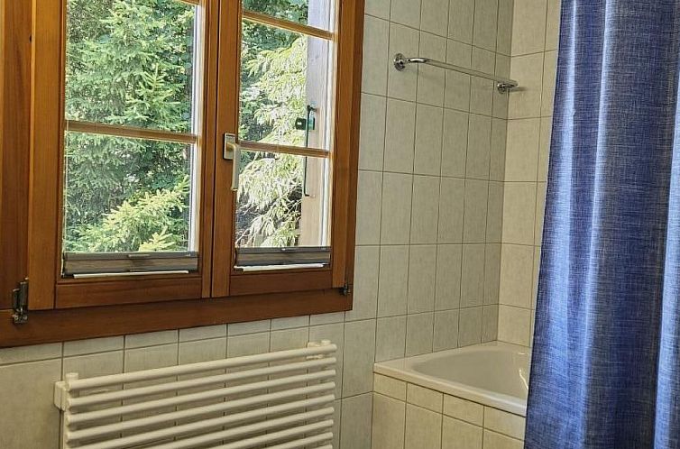 Vakantiehuis Chalet Tannegüetli
