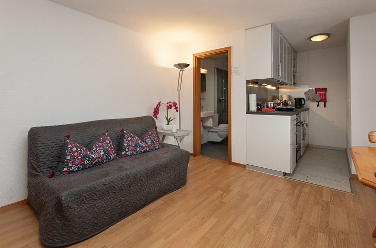 Appartement Chalet Chiebrendli