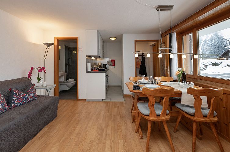 Appartement Chalet Chiebrendli