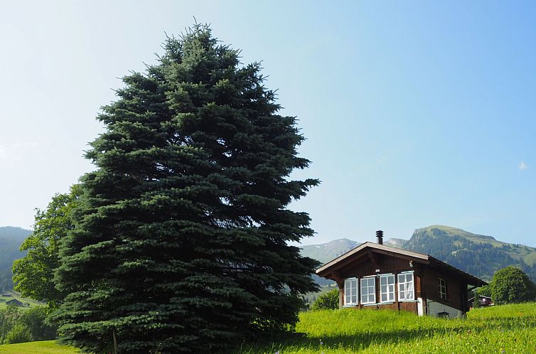 Appartement Chalet an ruhiger Lage mit schöner Bergsicht
