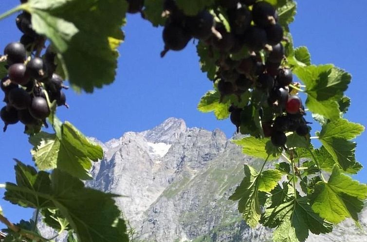 Appartement Chalet an ruhiger Lage mit schöner Bergsicht