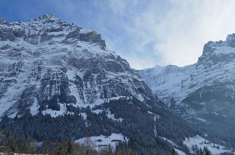 Appartement Chalet Im Klusi