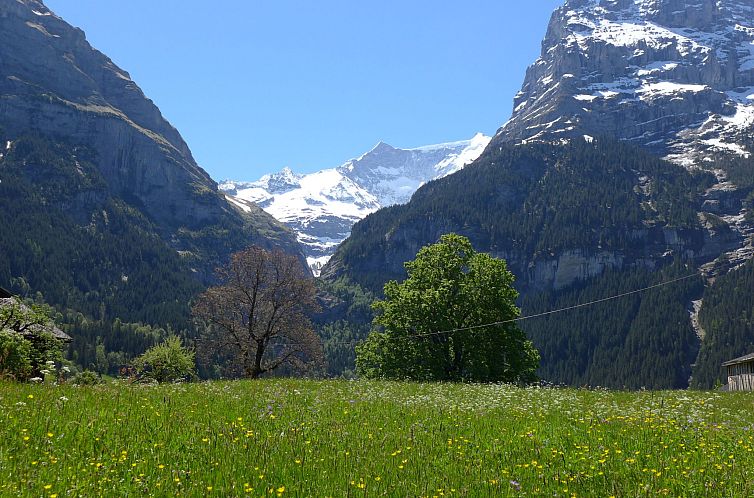 Appartement Chalet Almisgässli