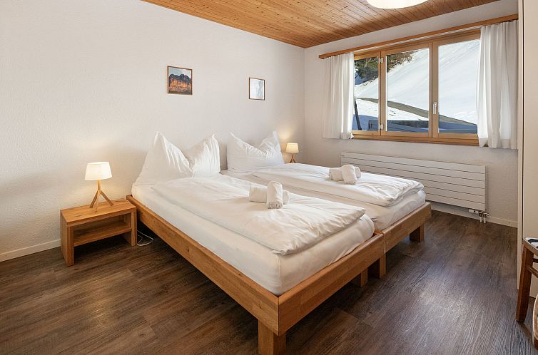 Appartement Chalet Bienli Mitte