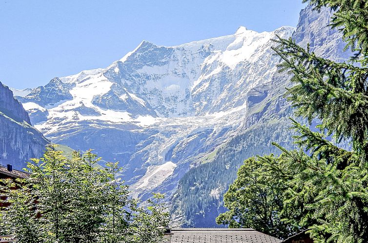 Appartement Chalet Bienli Mitte