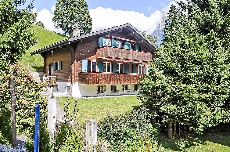 Appartement Chalet Bienli Mitte